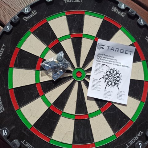 Target Aspar Dartboard